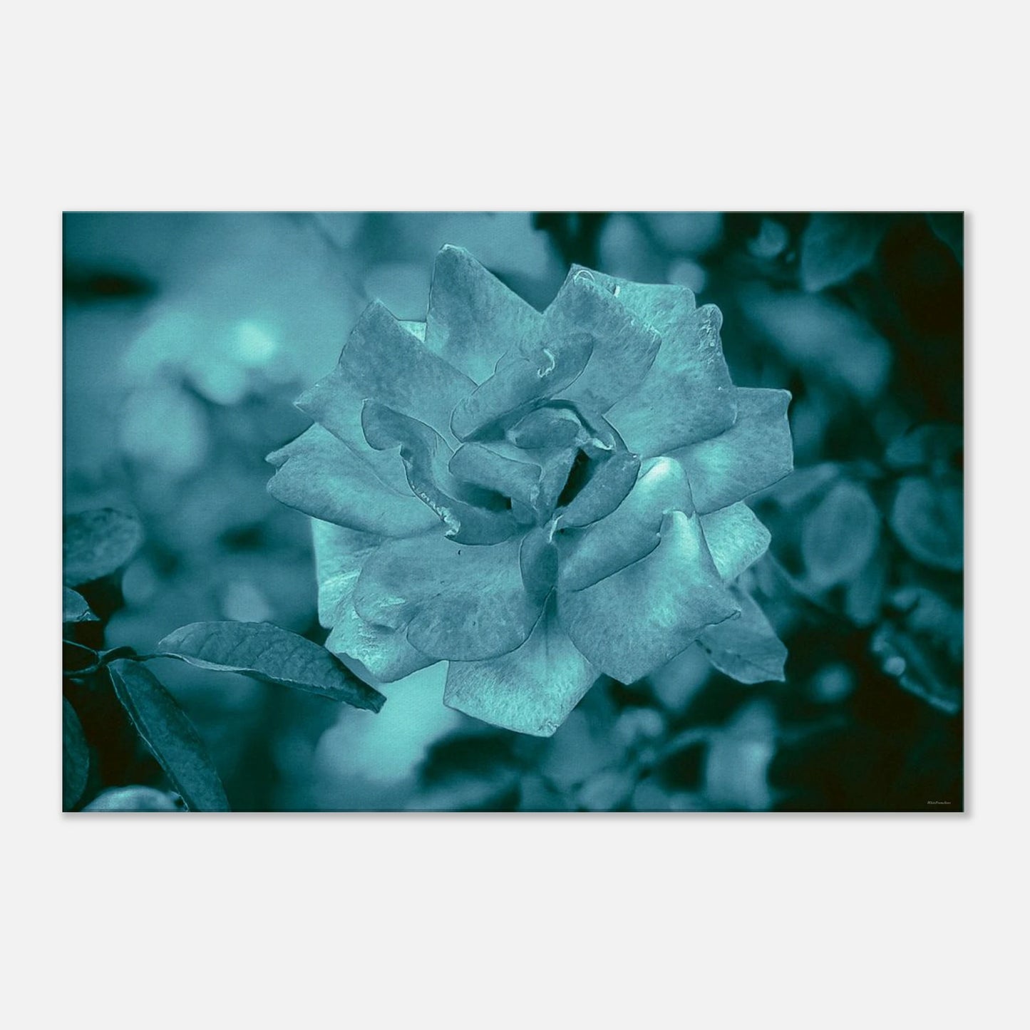 e22be839-fa15-43c8-814a-ec47f444dd47