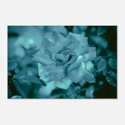 e22be839-fa15-43c8-814a-ec47f444dd47