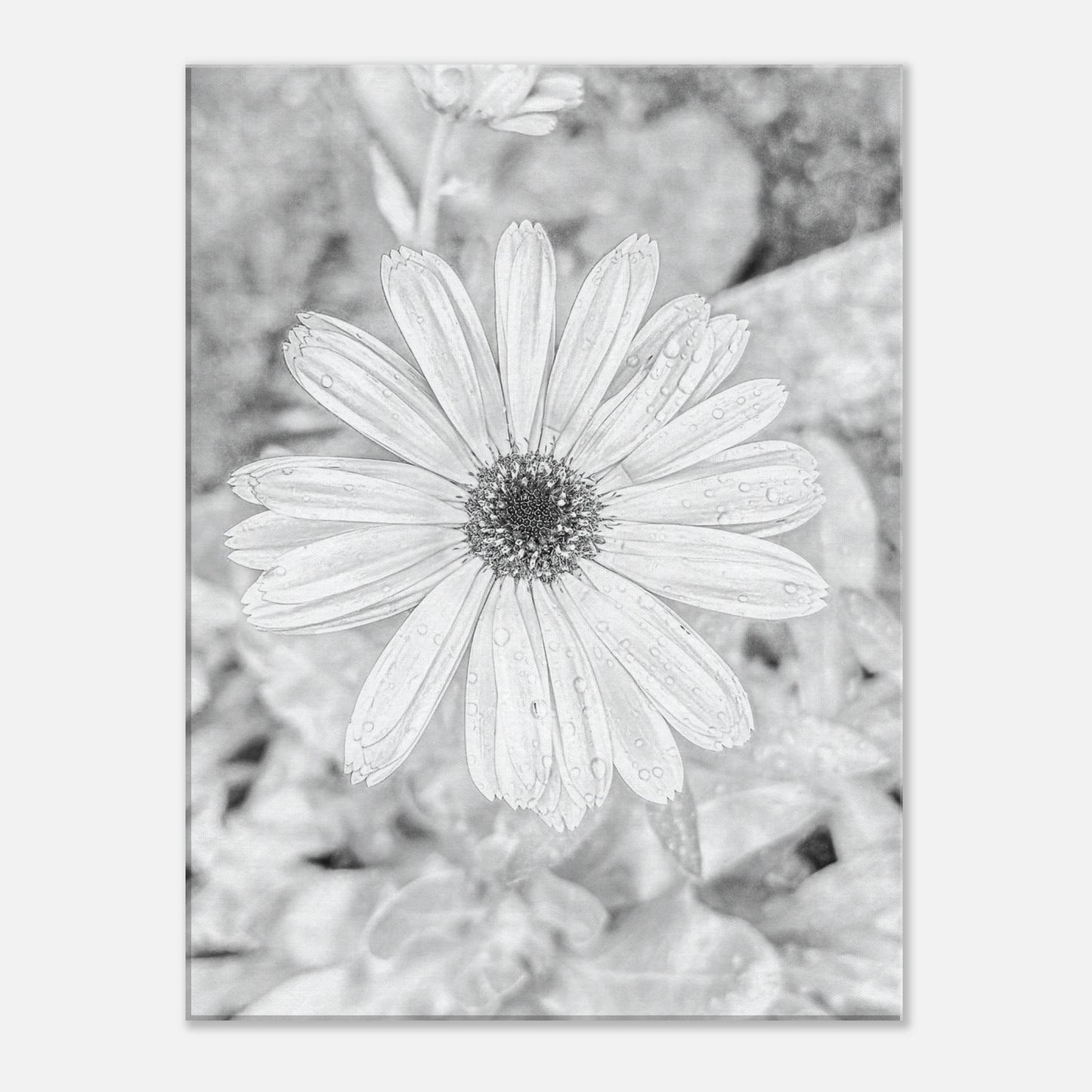 e23b21eb-f293-4580-95c8-11fca6d09871