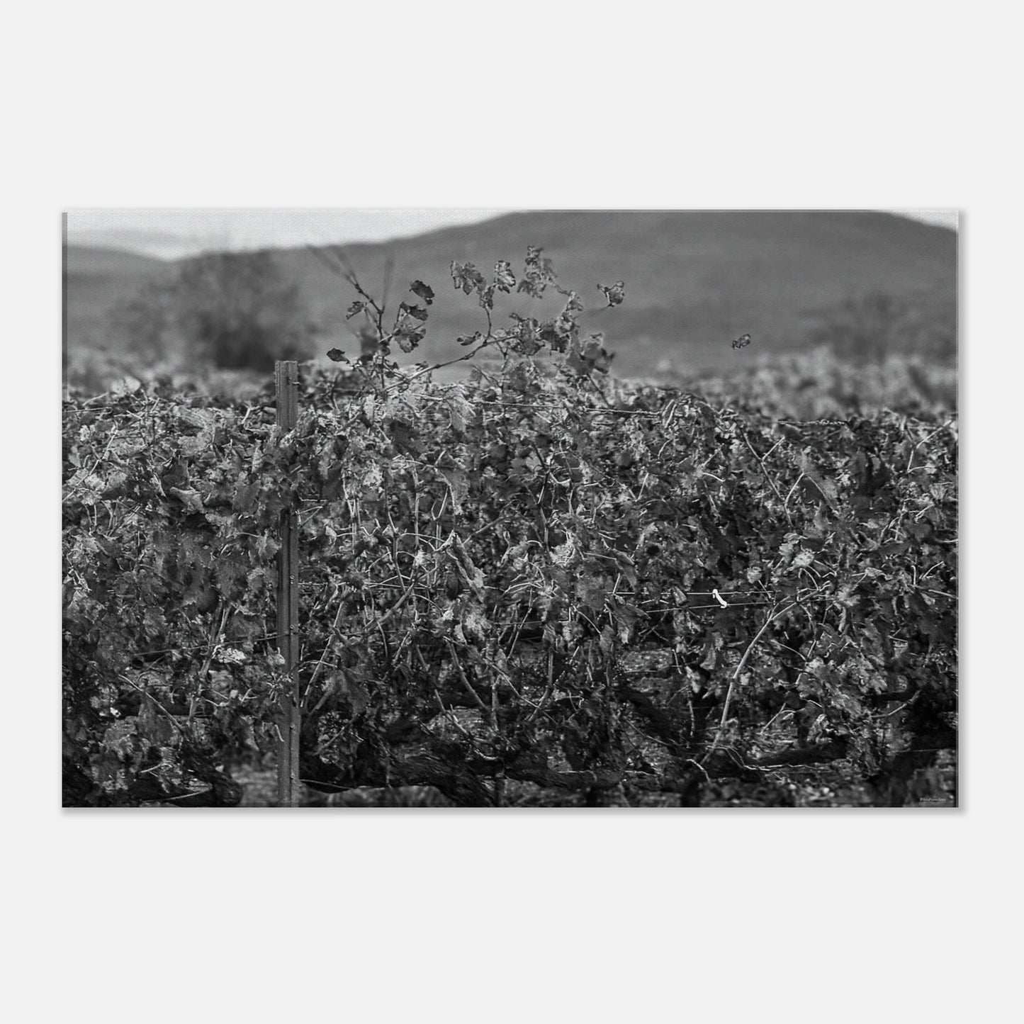 e2429ee0-5087-47d3-8e7f-f960635a2248