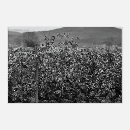 e2429ee0-5087-47d3-8e7f-f960635a2248