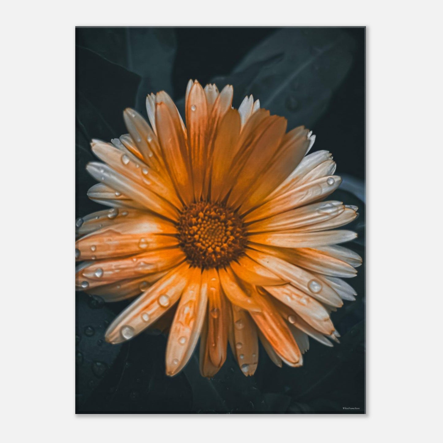 e261e021-1af4-4eeb-9099-01091d6f6584