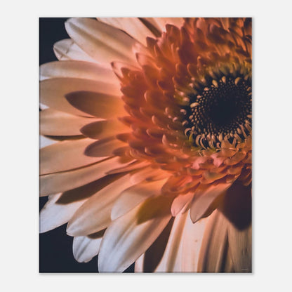 e266075b-0858-4c2f-8d6b-ba37e11ac1e4