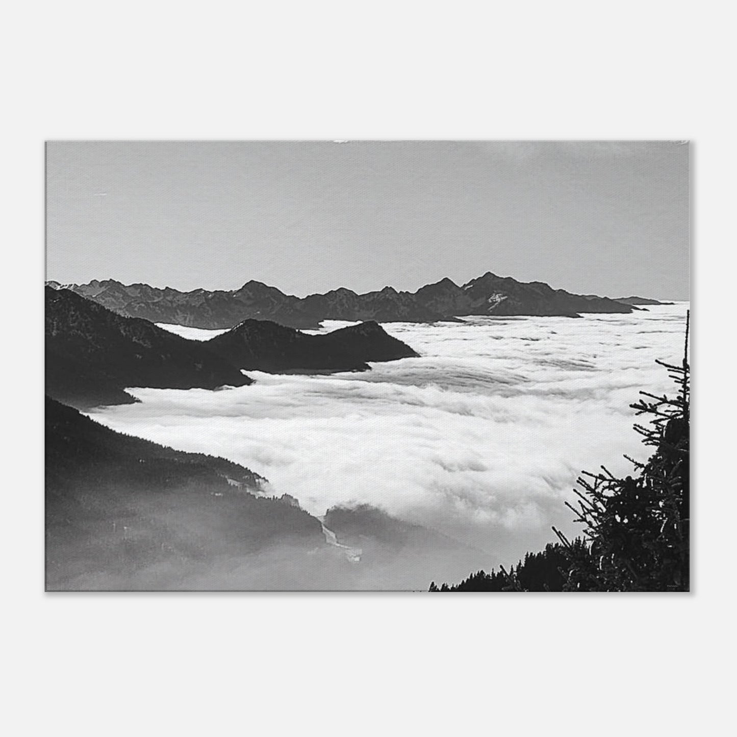 e268678c-7283-48eb-99ba-65d7530c3e93