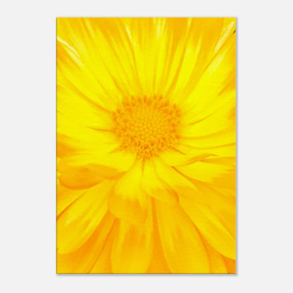 e27d3722-d237-413c-a5d3-a1ab3fd25c89