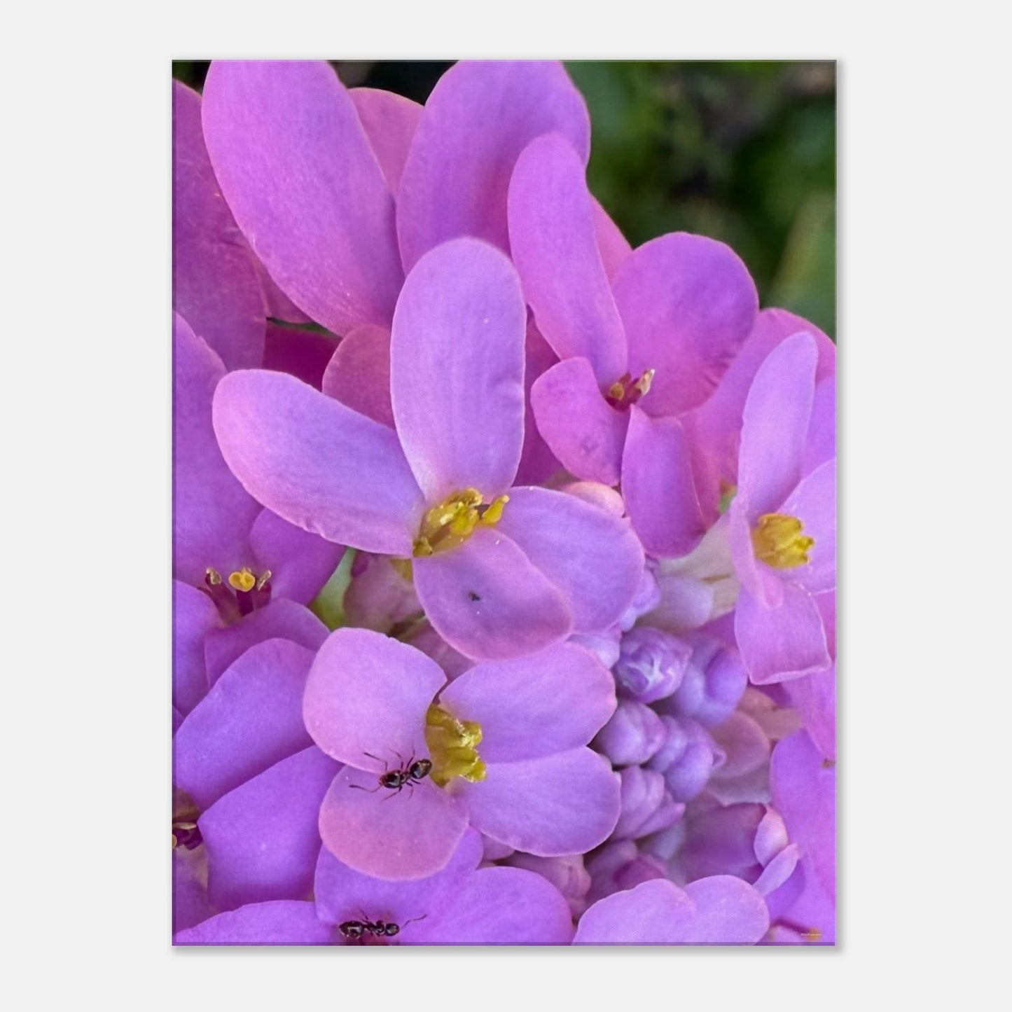 e29d600b-1645-474a-989f-844f55461643