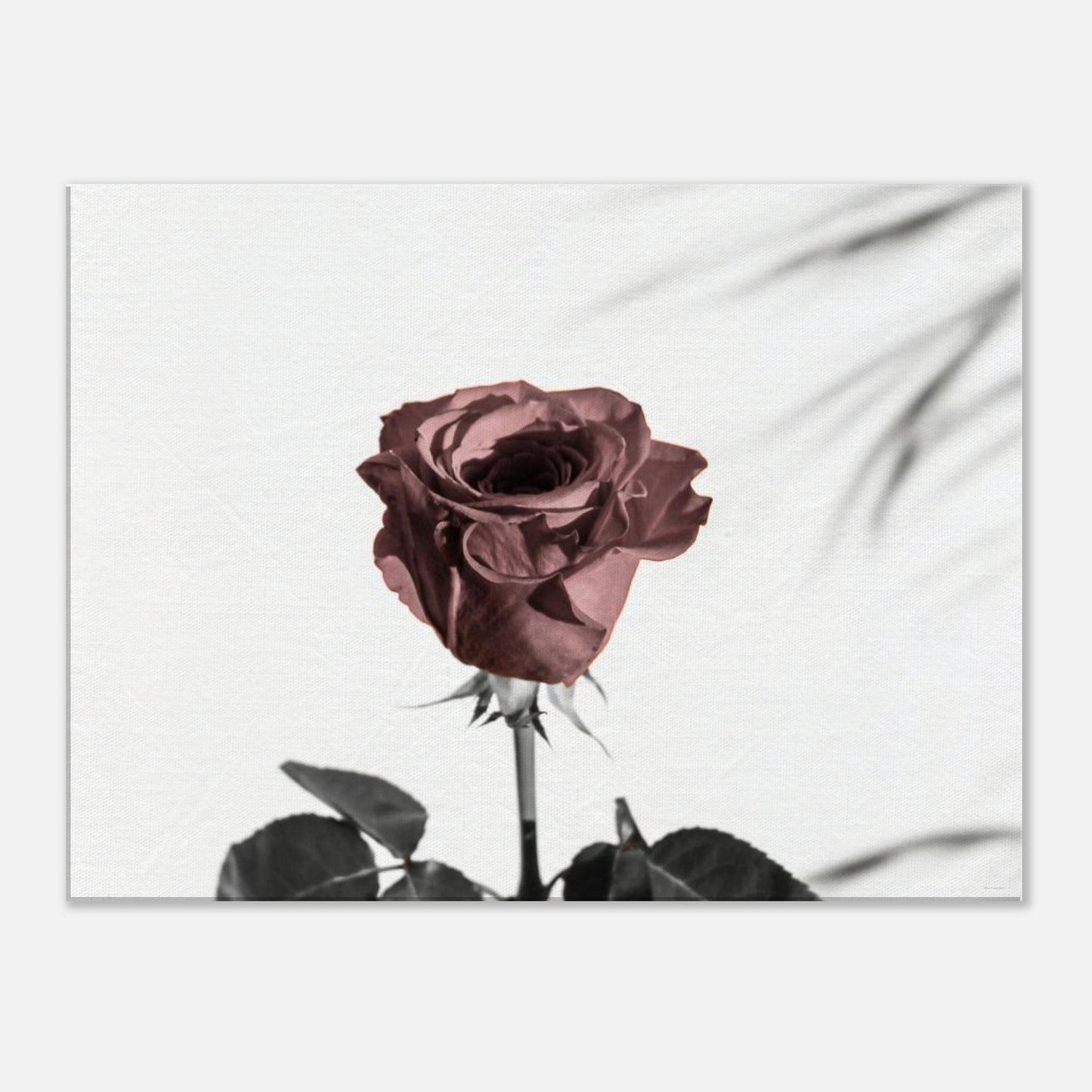 e2b21ac0-7123-4107-b204-f9069be6ddcc