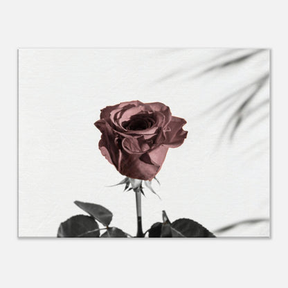 e2b21ac0-7123-4107-b204-f9069be6ddcc