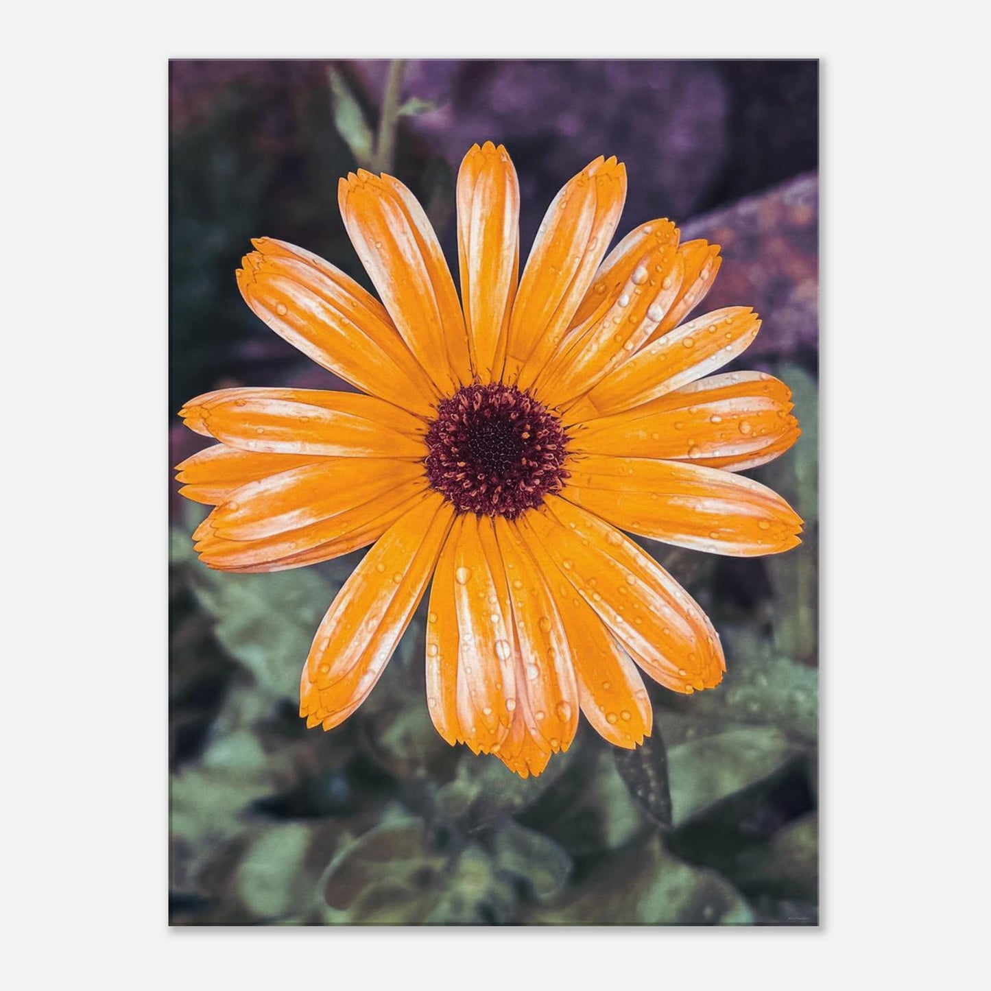 e2b9d737-7d1f-4025-9448-8c893e654076