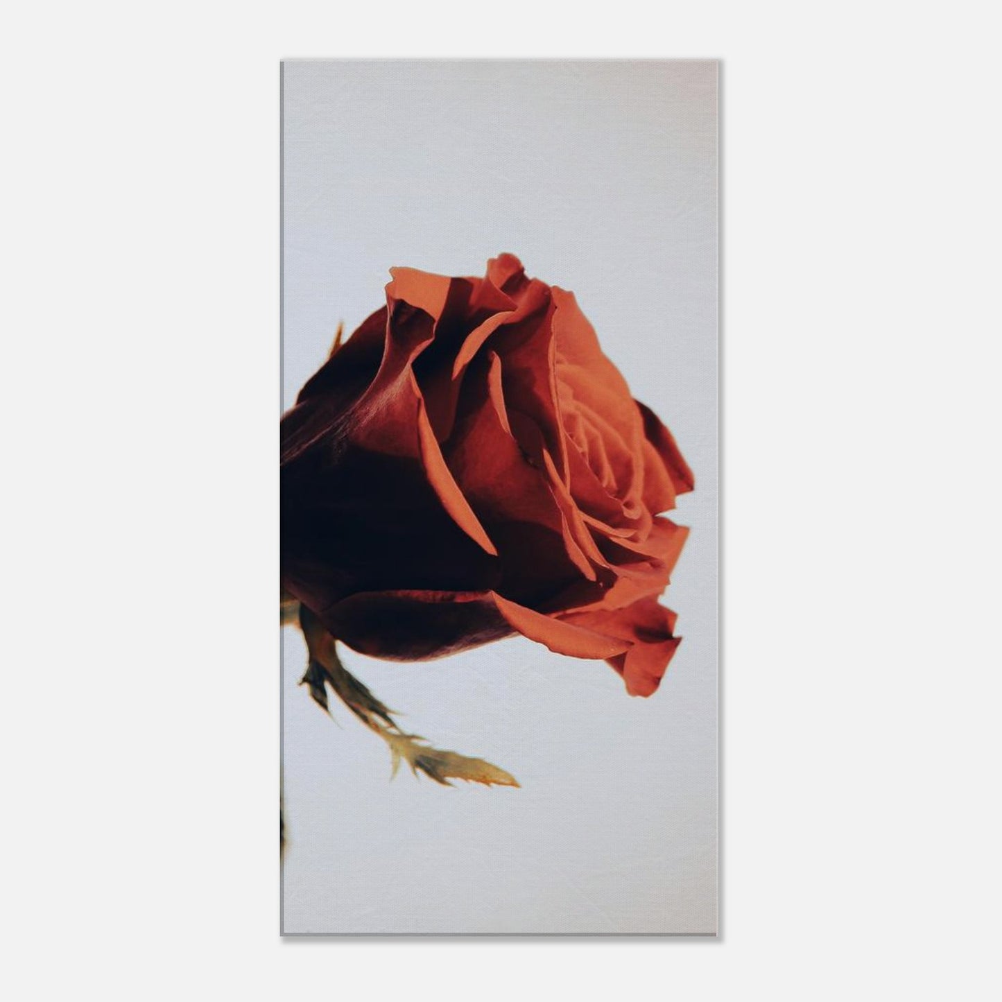 e2beae2f-5911-4acc-a914-370a53bd22f4