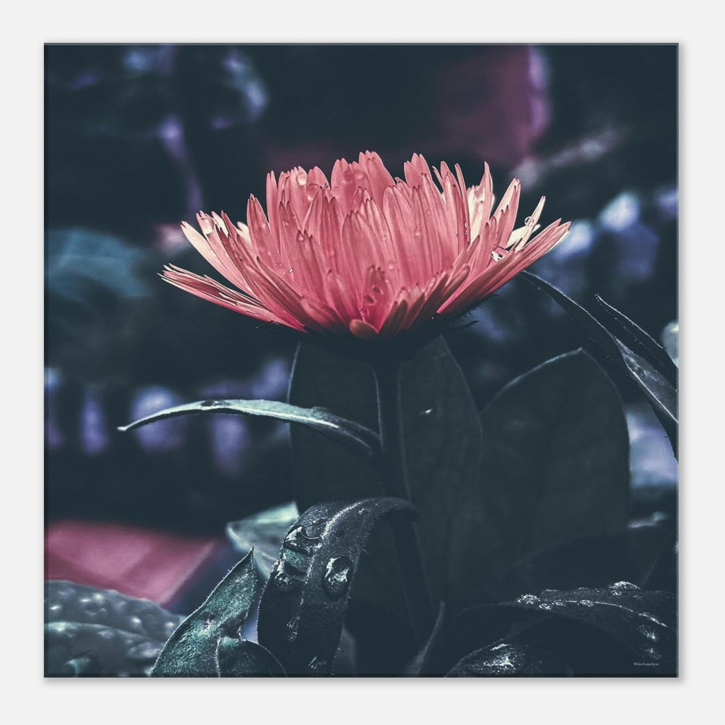 e2ca6c51-a1cd-4b5e-a481-93fe9a685798