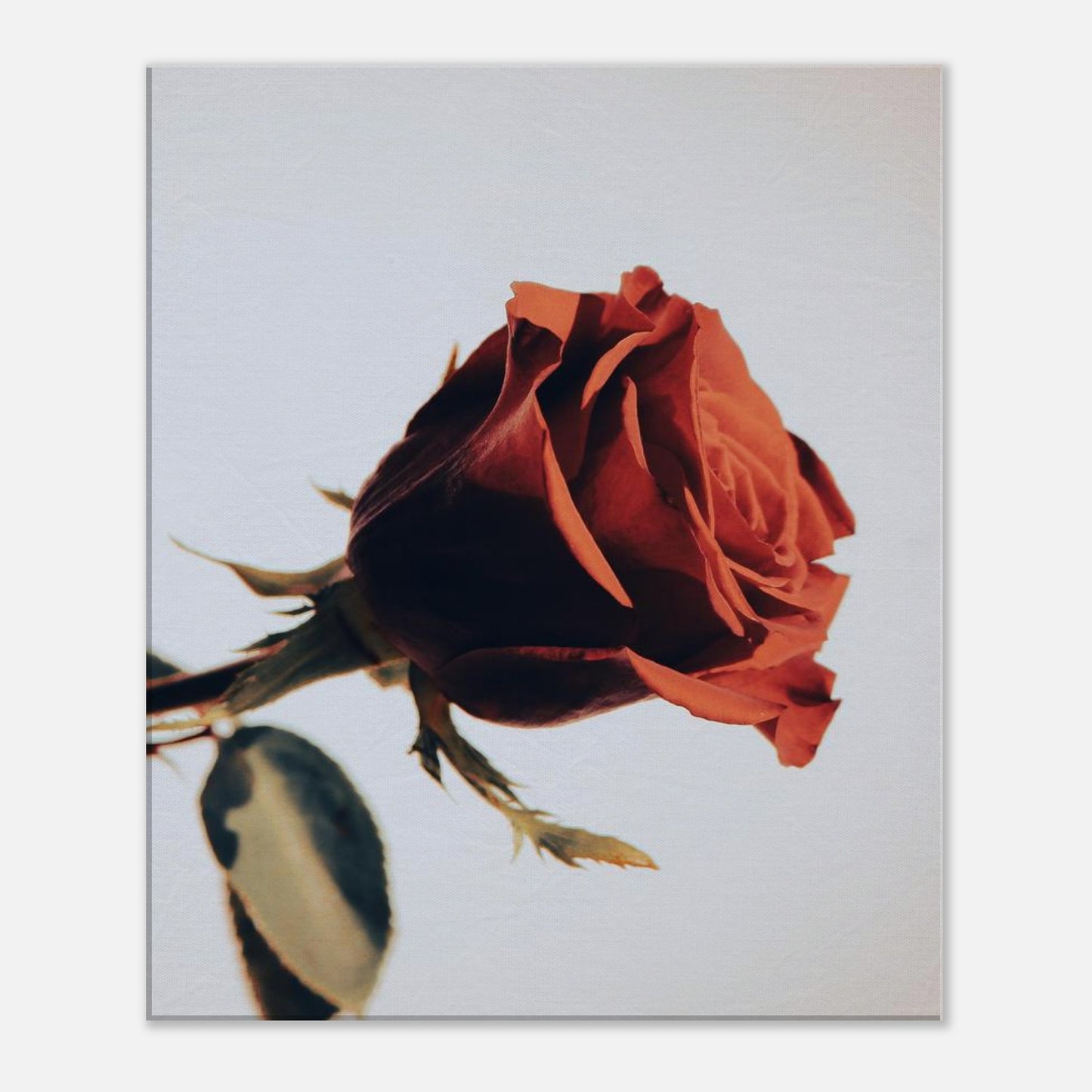 e3d1aeee-b02f-4904-96d6-9b647d75d769