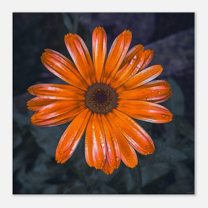 e3daf15f-83e2-4964-8824-15fed2c78458