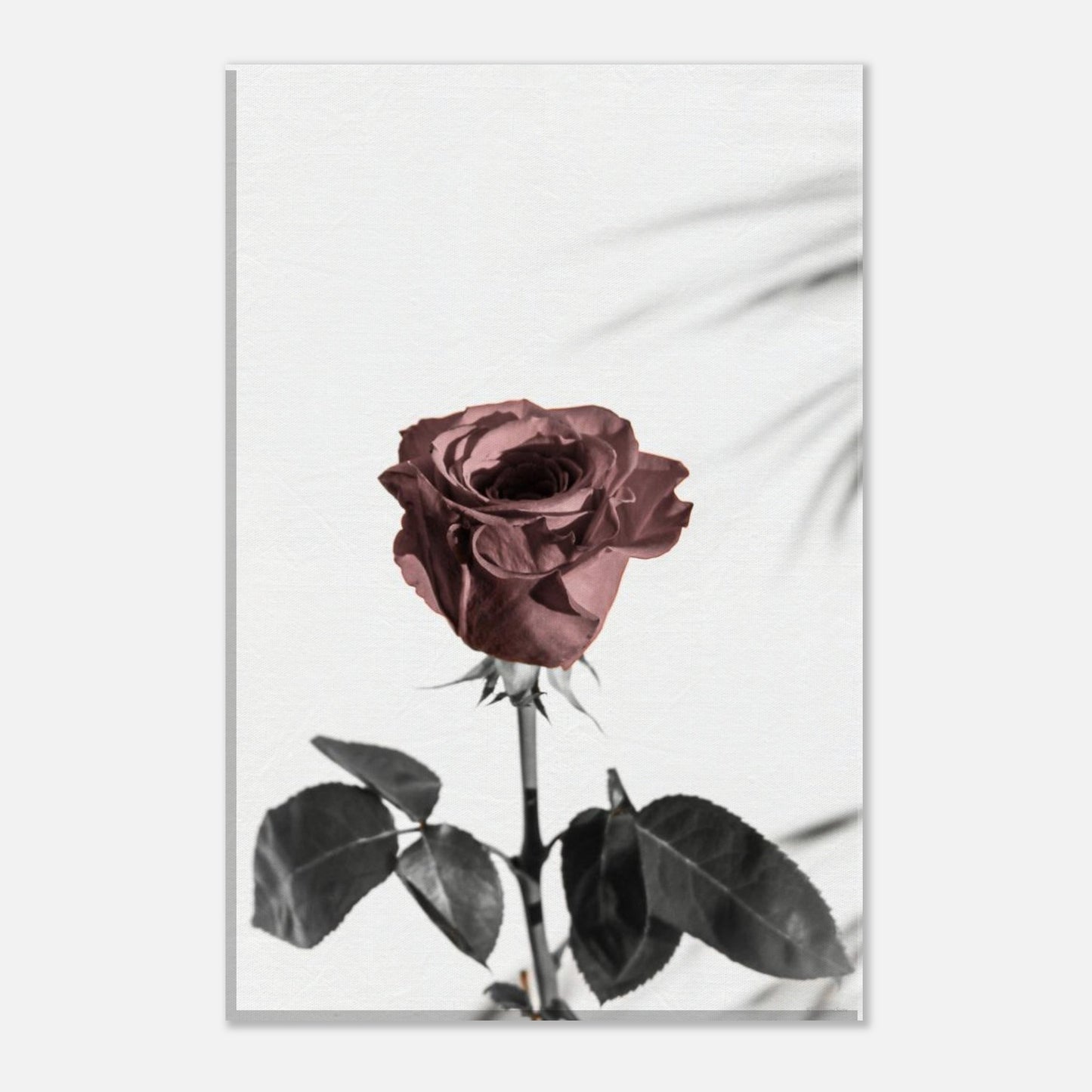 e3e4c203-e04b-4ab8-ac24-0c32c6a37749