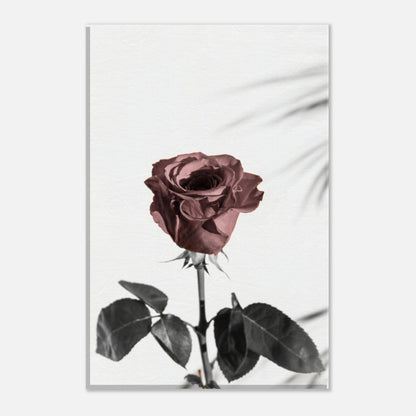 e3e4c203-e04b-4ab8-ac24-0c32c6a37749