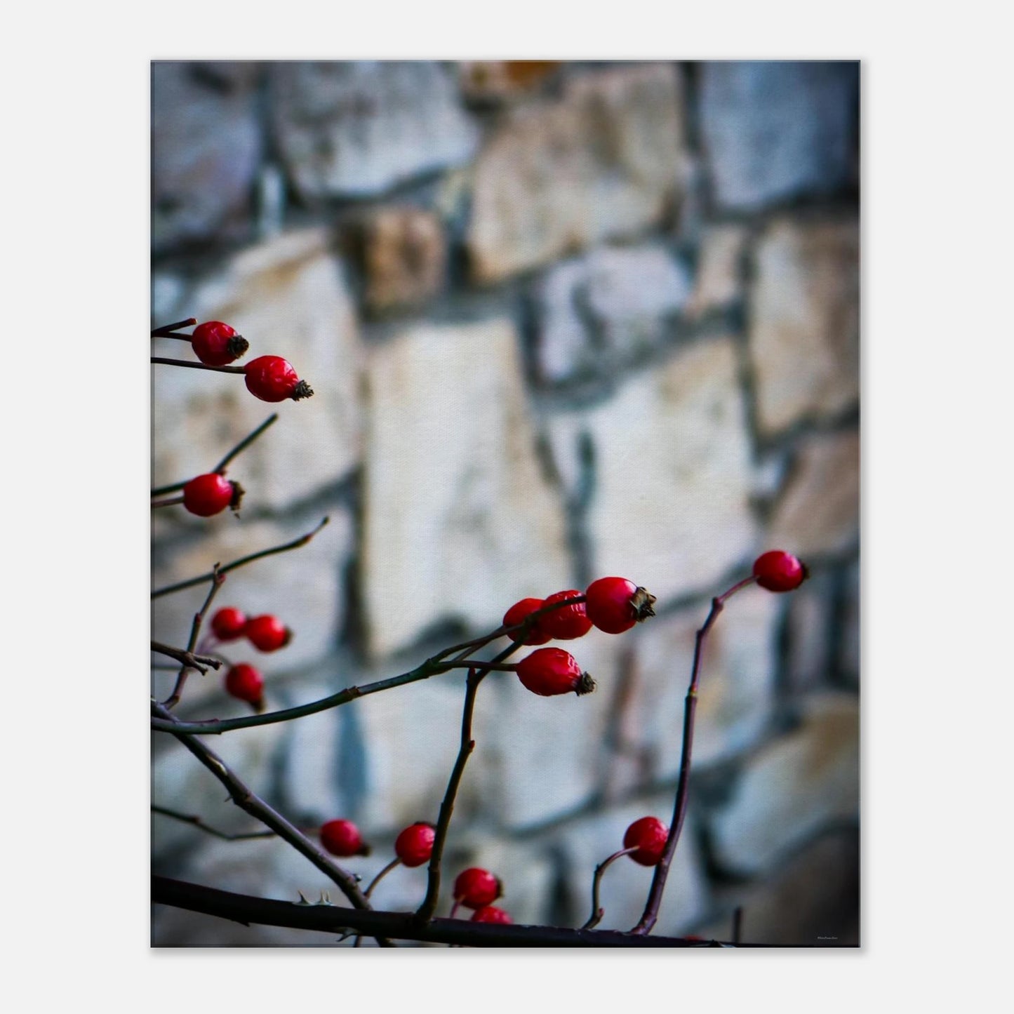 e4010994-27ac-4ba8-949d-31531c3aecb1