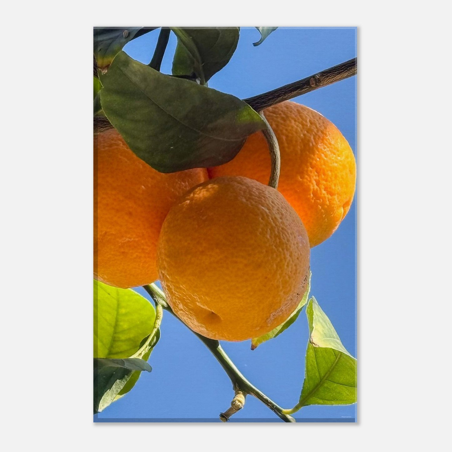 e4393fdc-6567-41c2-85f4-251543efdaa7