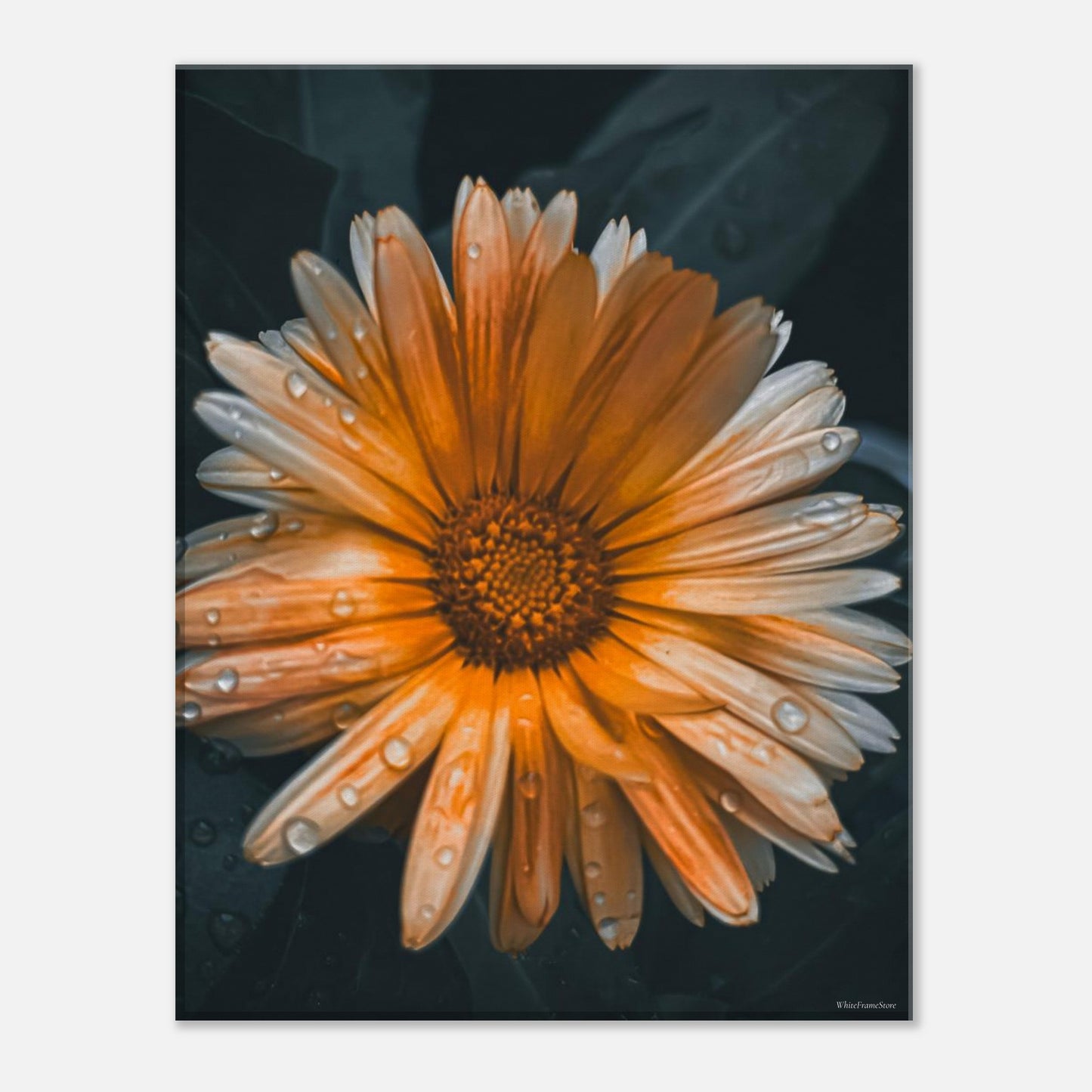 e44224a8-4cc0-42cf-a273-8cd097dd6d0d