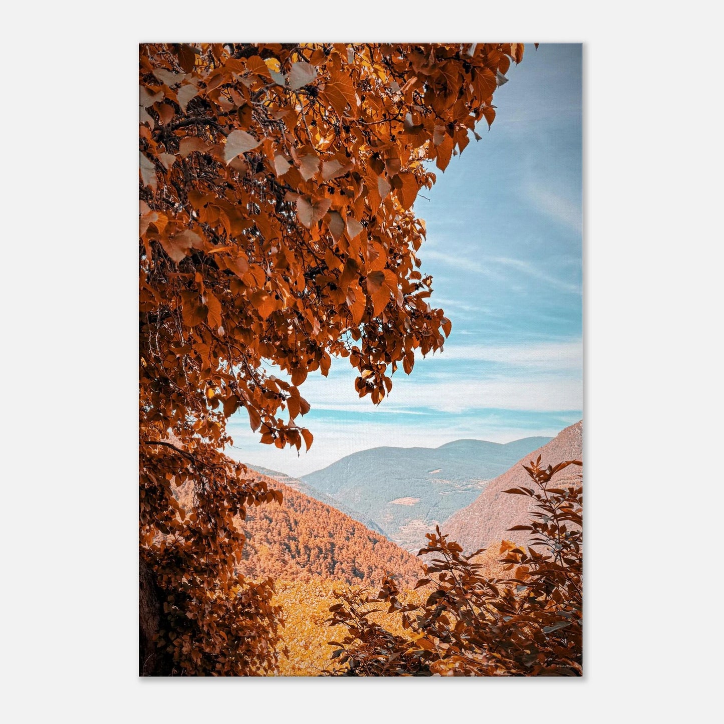 e4473eb4-76b8-46da-aaa5-ff6ae9b9a5ec