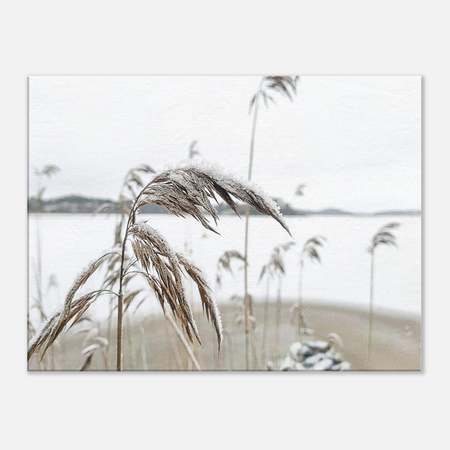 e4819d31-640b-4b93-a87a-ad03caf44c24