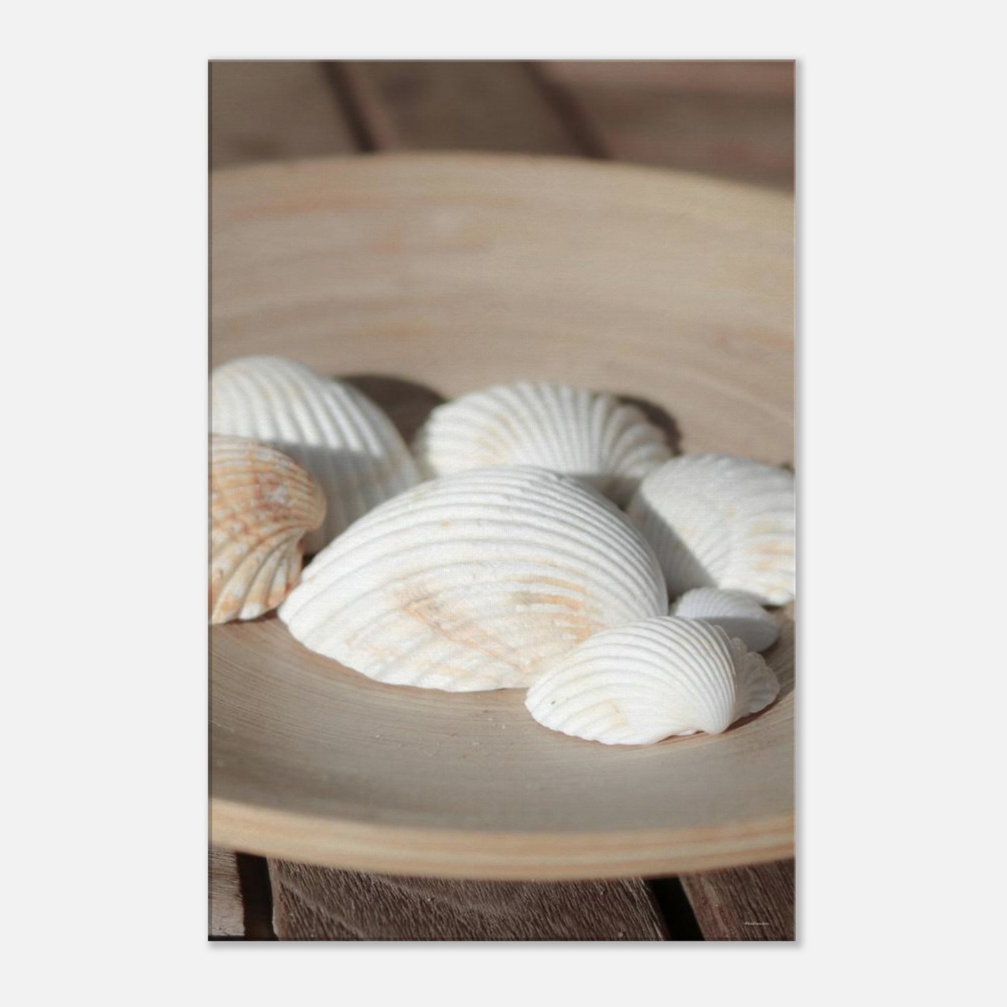 e495d27c-2e54-49d5-8311-5399bd1eb5f0