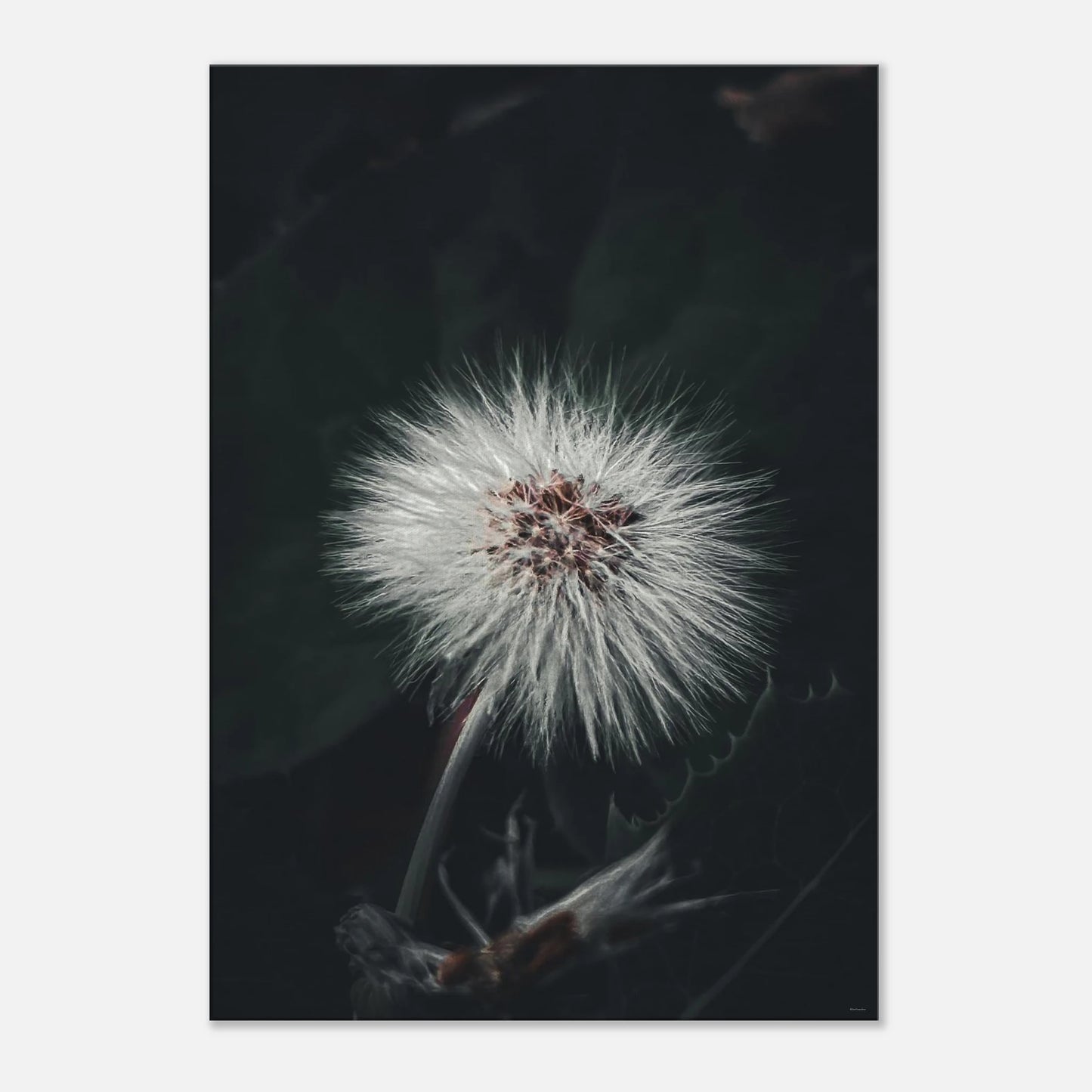 e4a52ef2-cc99-46dd-a155-aa4f60102989