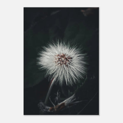 e4a52ef2-cc99-46dd-a155-aa4f60102989