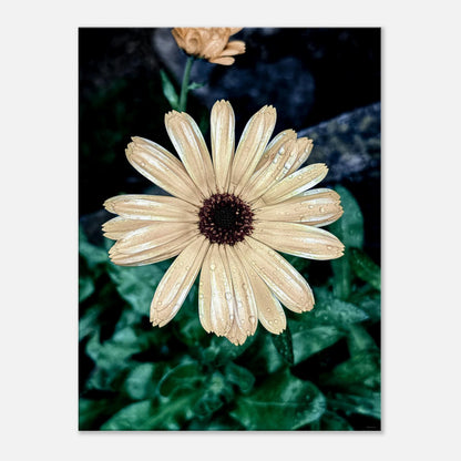 e4b2449b-9214-499e-9771-0150524efe51