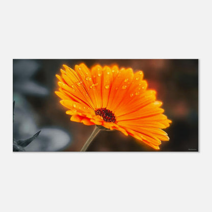 e4b98862-3f92-4c6d-bd69-1727dbbdbd56