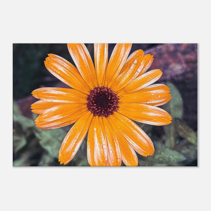 e4c20ac6-f305-4425-abae-c0c800c1ace1