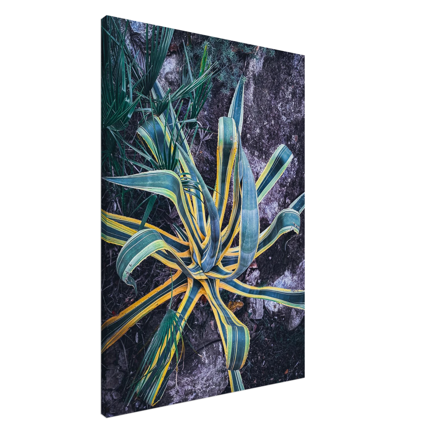 e4d50c1b-bed2-4079-b367-810beb16c53e