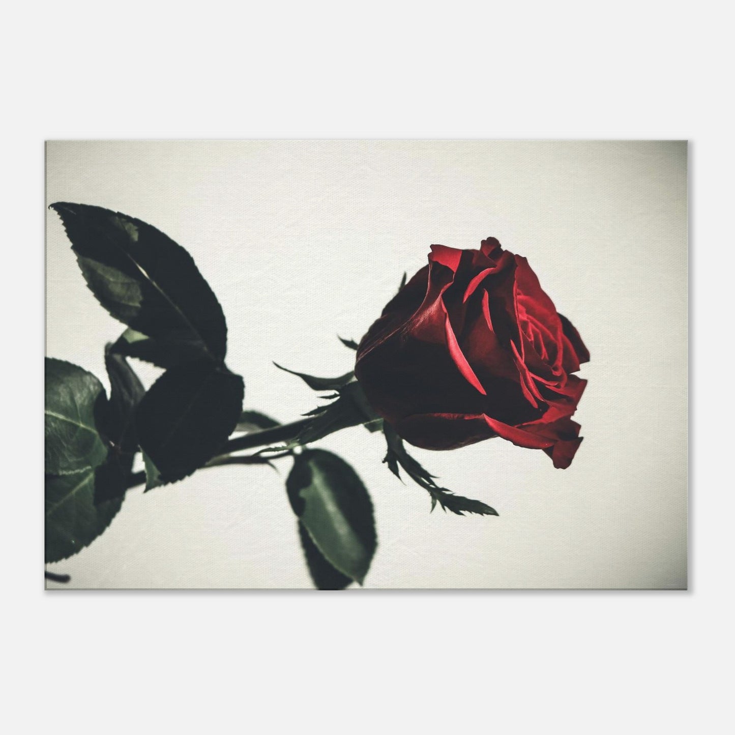 e4e42803-0379-43ae-86fe-0b4a1700dae3