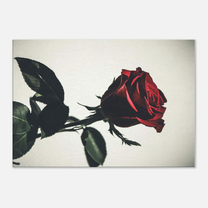 e4e42803-0379-43ae-86fe-0b4a1700dae3