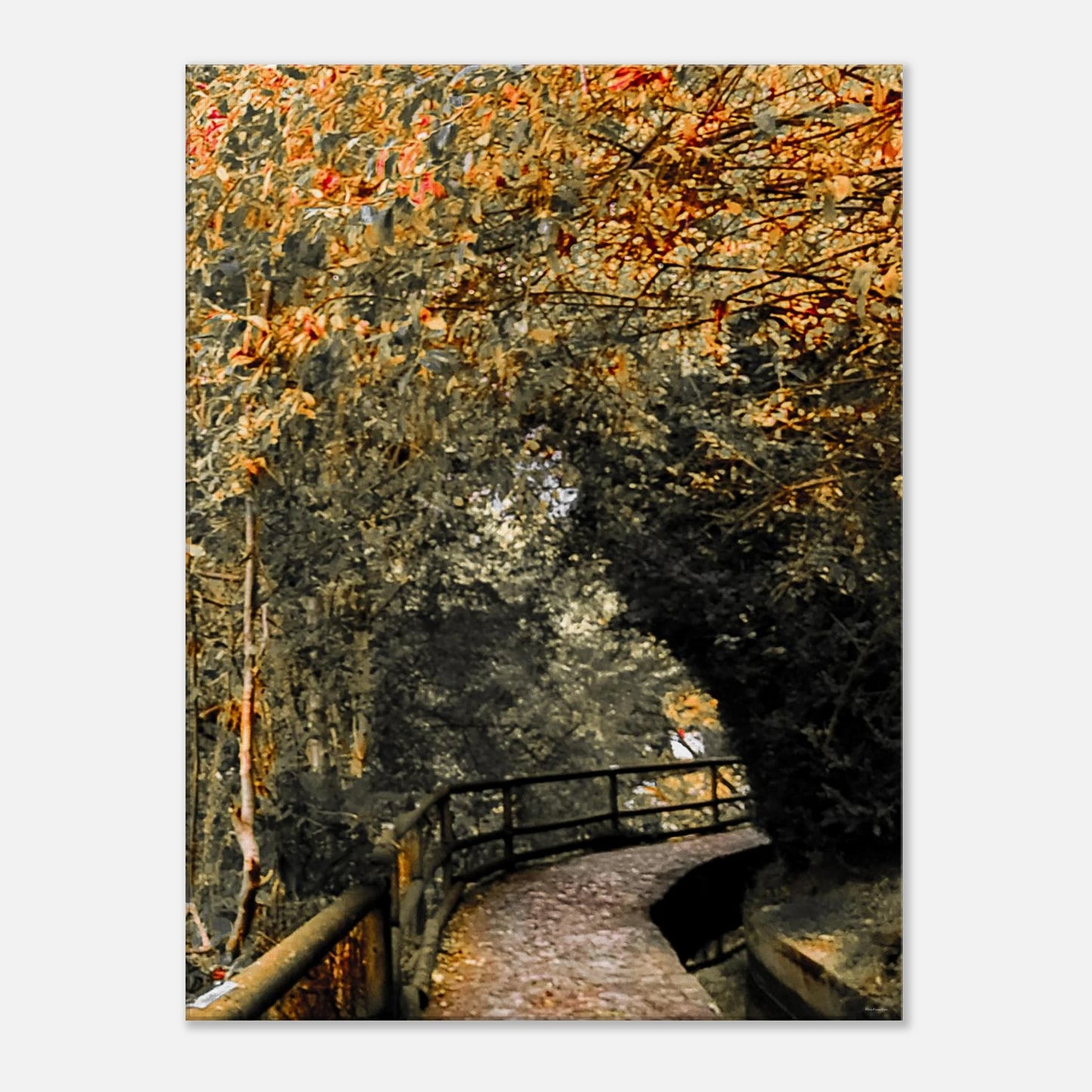 e50a31de-3dd1-4da5-a20d-712dc341f60b