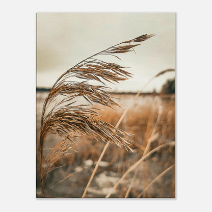 e52b8875-ed34-46ad-b265-2790329156e9