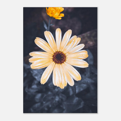 e537be3d-c63c-41c7-b7f1-521a9f827839