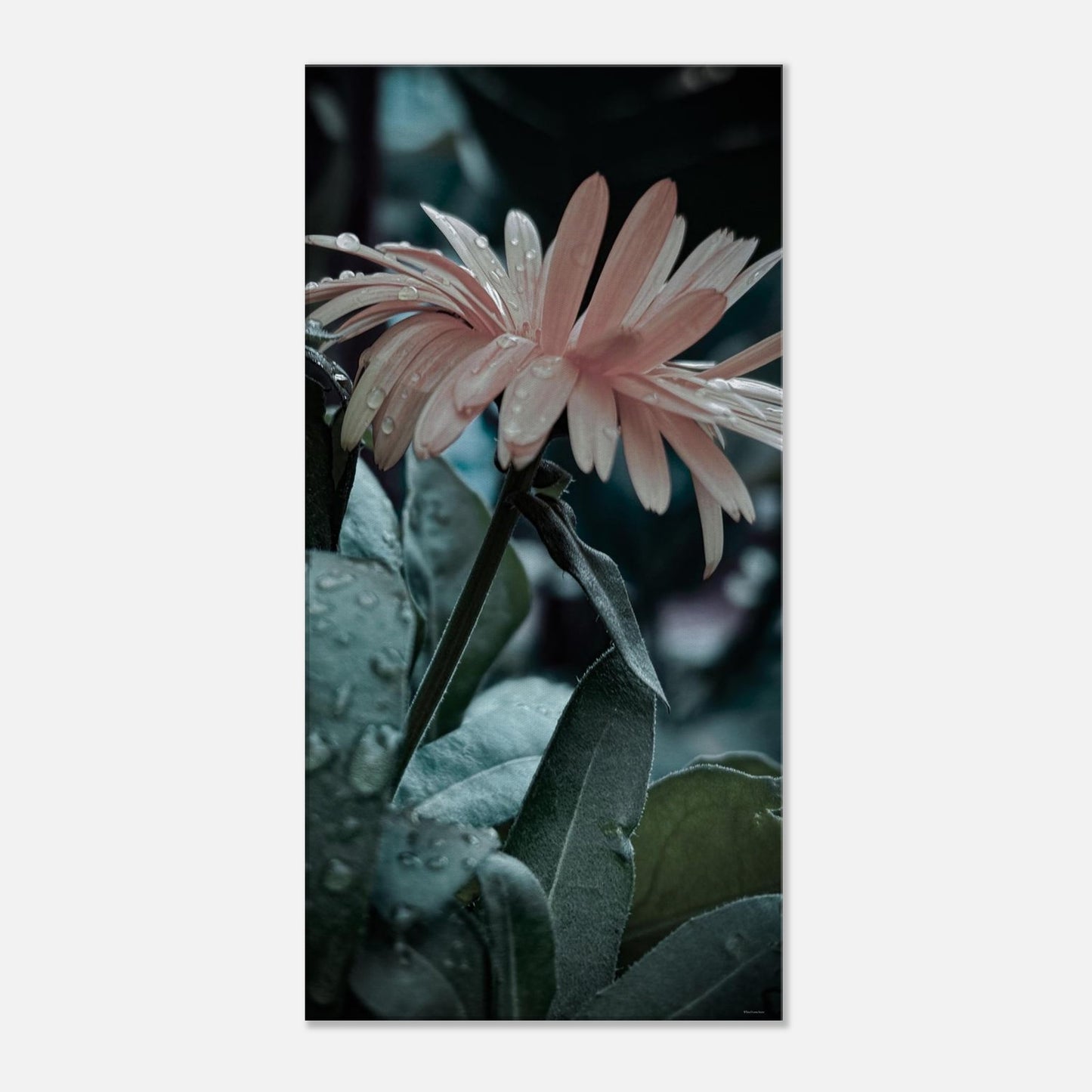 e5420e80-c963-441f-99ab-8797169c3830