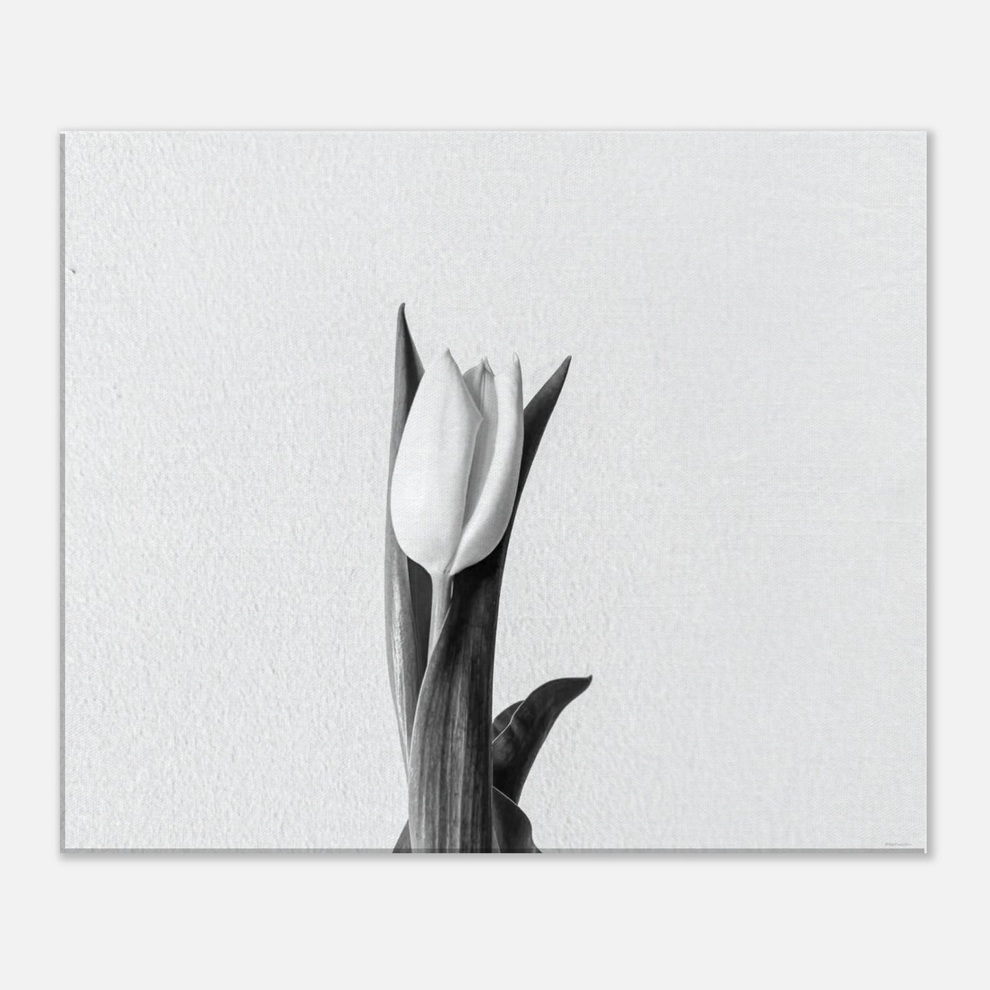 e54375b6-cde3-4ac5-a3ca-abe0a4bfa4bf