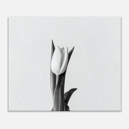 e54375b6-cde3-4ac5-a3ca-abe0a4bfa4bf