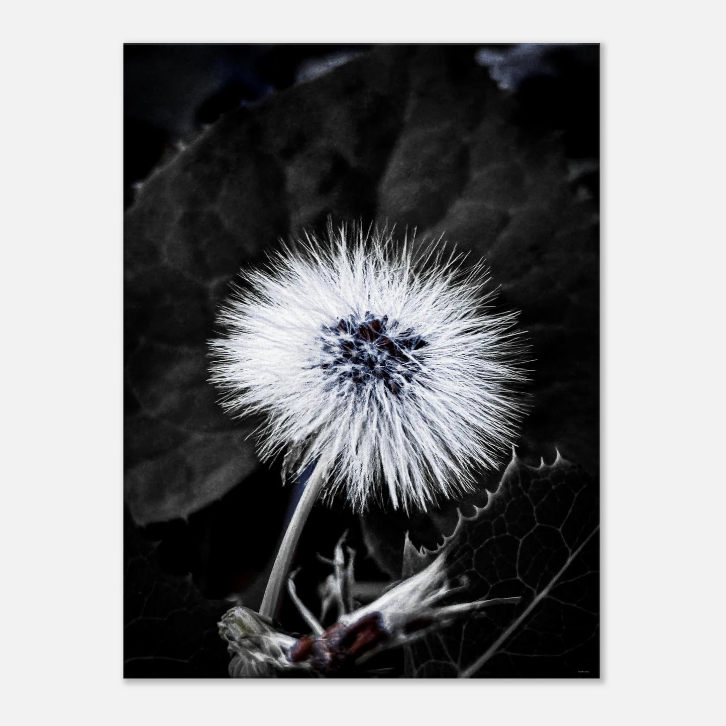 e5686641-44d0-4195-b127-58b3a4c3818d