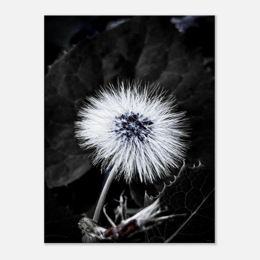 e5686641-44d0-4195-b127-58b3a4c3818d