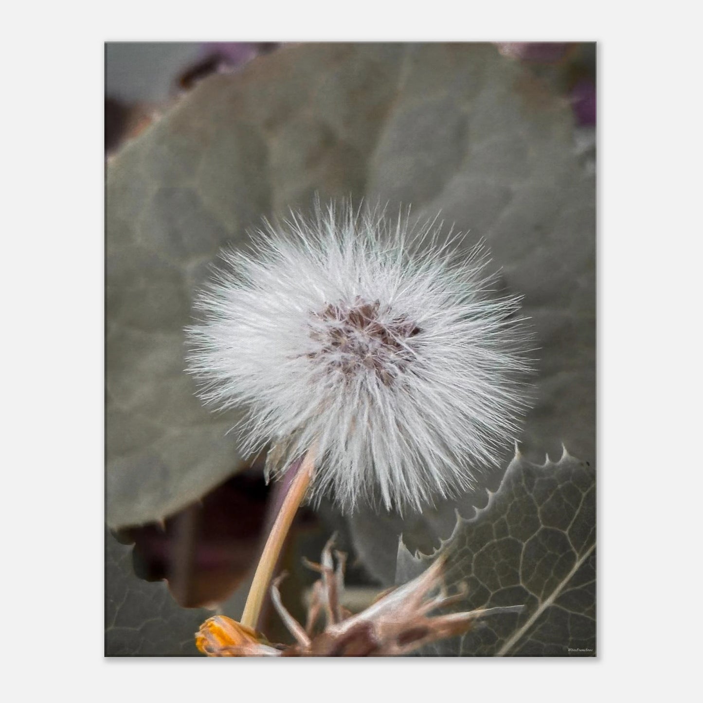 e590f177-0943-4751-b909-a5760787caee