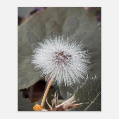 e590f177-0943-4751-b909-a5760787caee