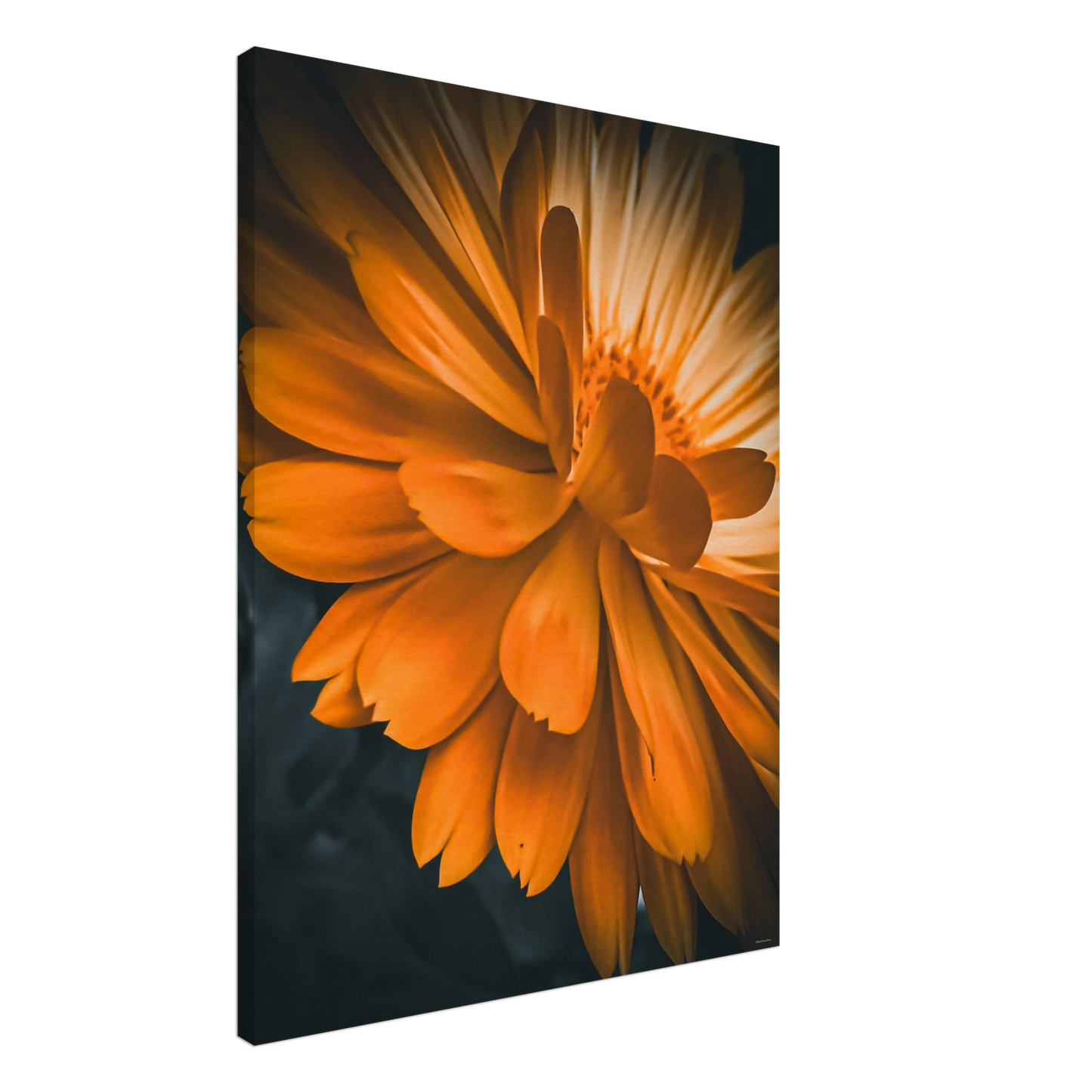 e5934d9b-8517-4118-a60c-22a8787ce242