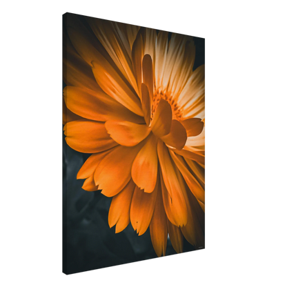 e5934d9b-8517-4118-a60c-22a8787ce242