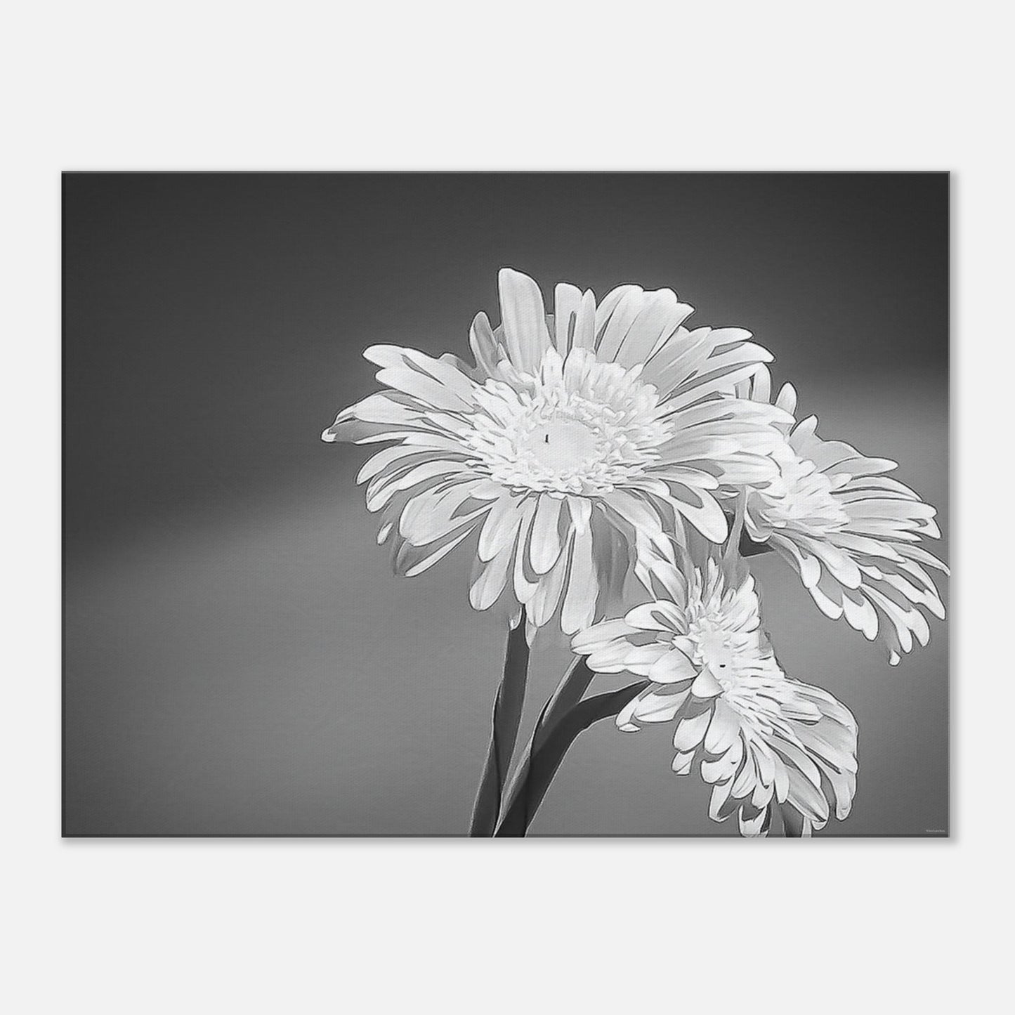 e5bef27c-1295-4510-bfe7-7020ee3851c9