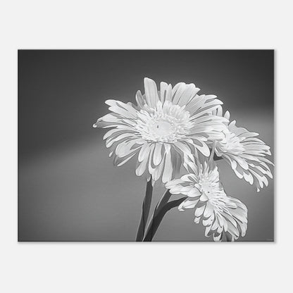 e5bef27c-1295-4510-bfe7-7020ee3851c9