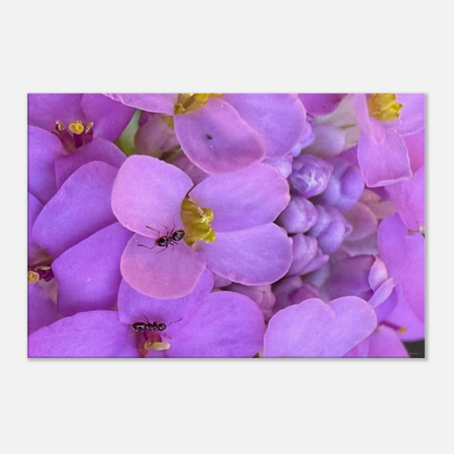 e5eadccc-0f7d-4648-8575-3cdd704ff8d8