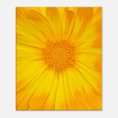 e601ce7c-5f5f-4429-a103-eba8b1c96c09