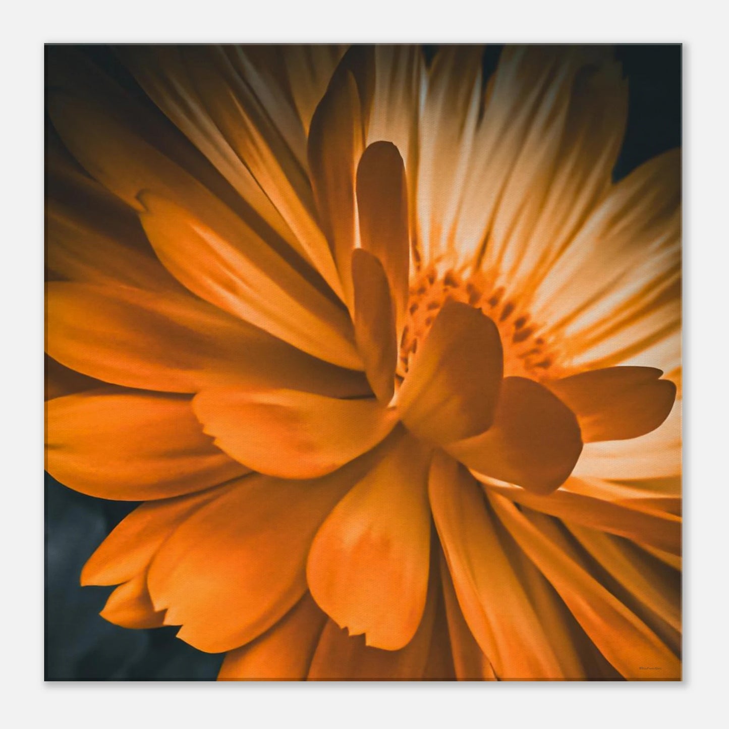 e61cbc3a-5440-42c7-82b7-6151abb84809